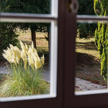 Domaine De Seugnac Panzió Pons