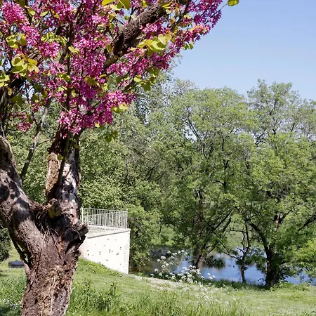 Domaine De Seugnac Bed & Breakfast *