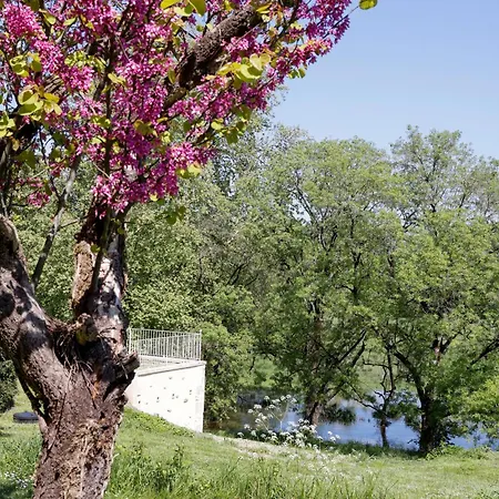 Domaine De Seugnac Oda ve Kahvaltı 4*
