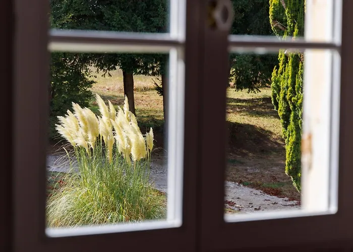 Domaine De Seugnac Bed & Breakfast Pons