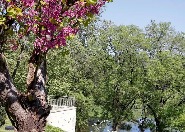 Domaine De Seugnac Bed & Breakfast 4*